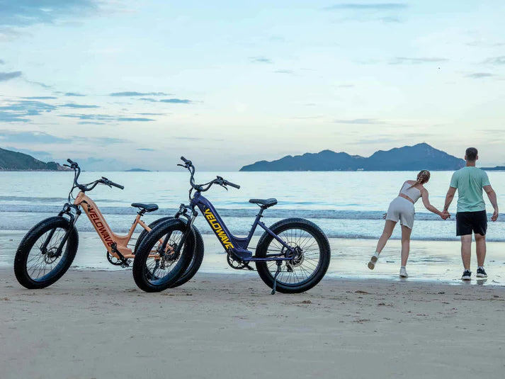 Velowave Rover Class 3 Step-Thru Electric Bike