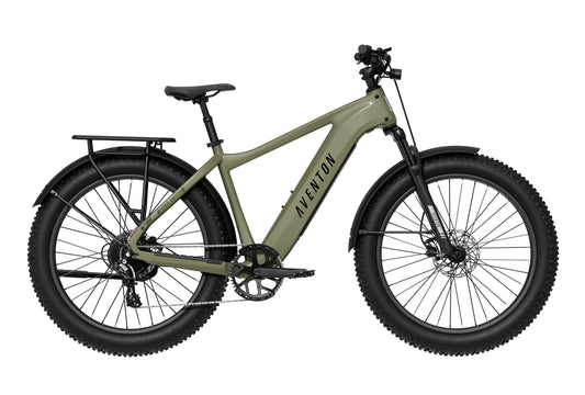Aventon Aventure.3 E-Bike Step-Over