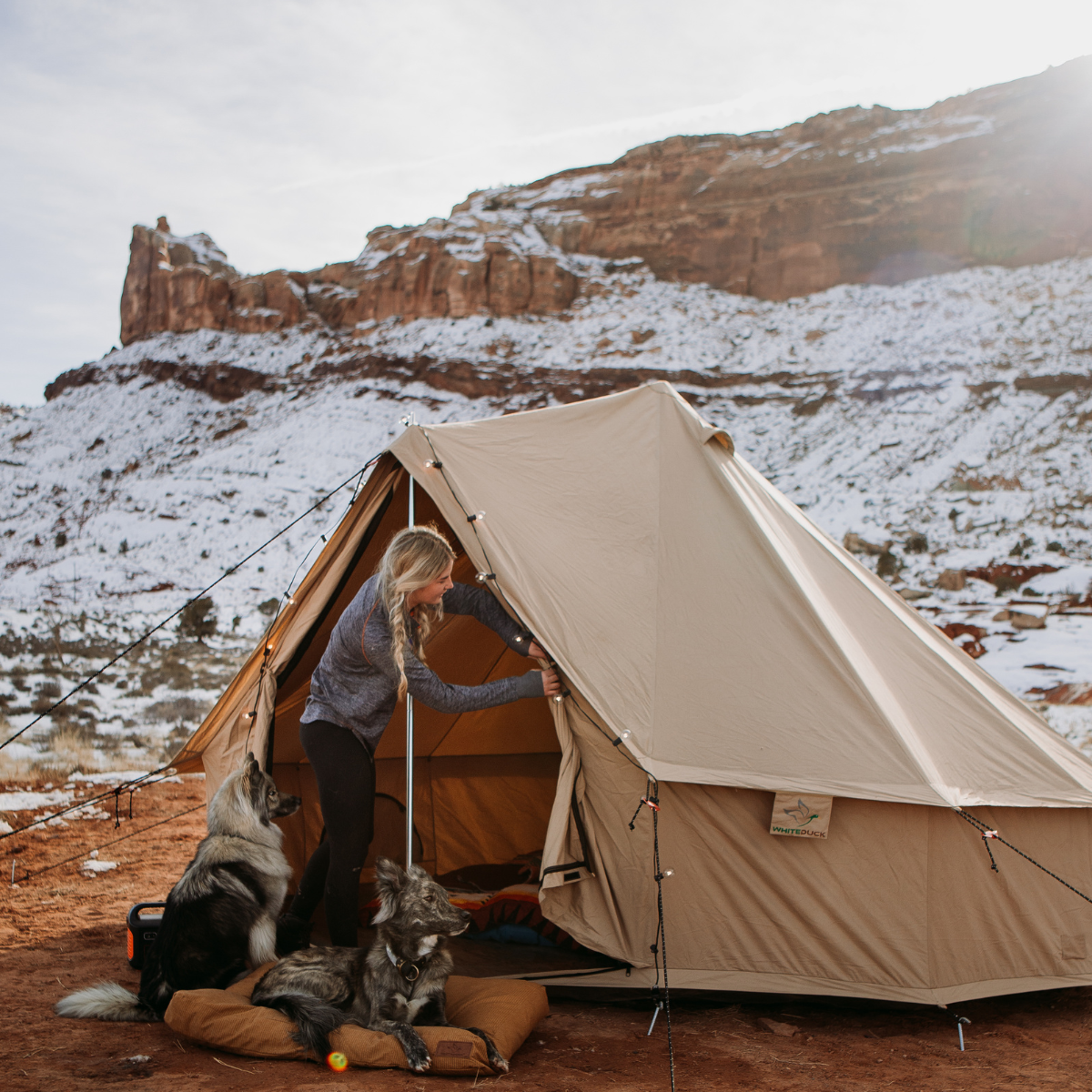 Person setting up a tent in a snowy mountainous area with two dogs.