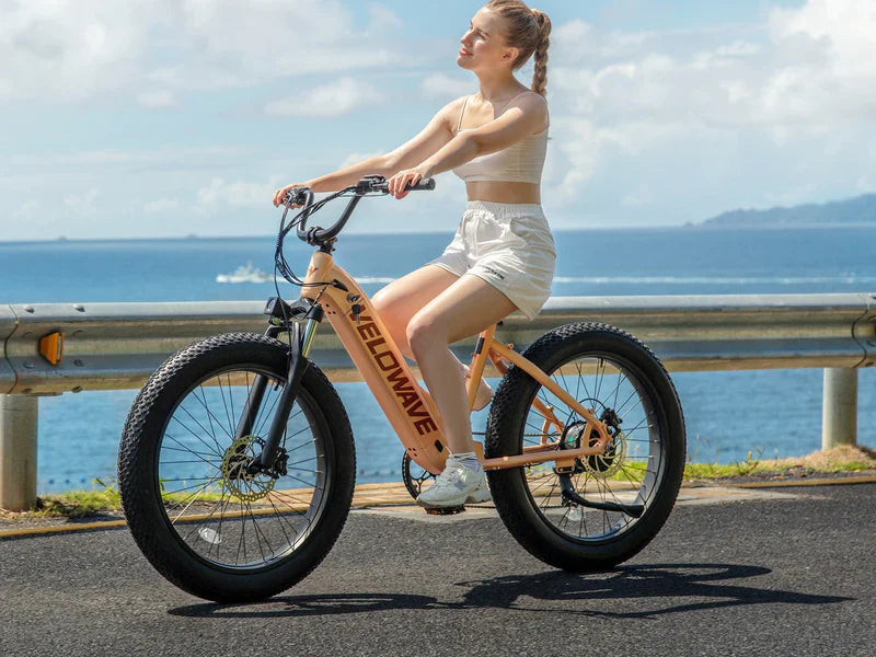 Velowave Rover Class 3 Step-Thru Electric Bike