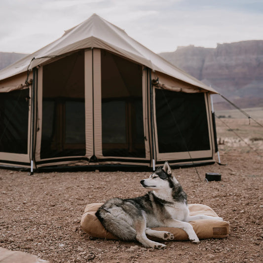 White Duck 14' Altimus Bell Tent