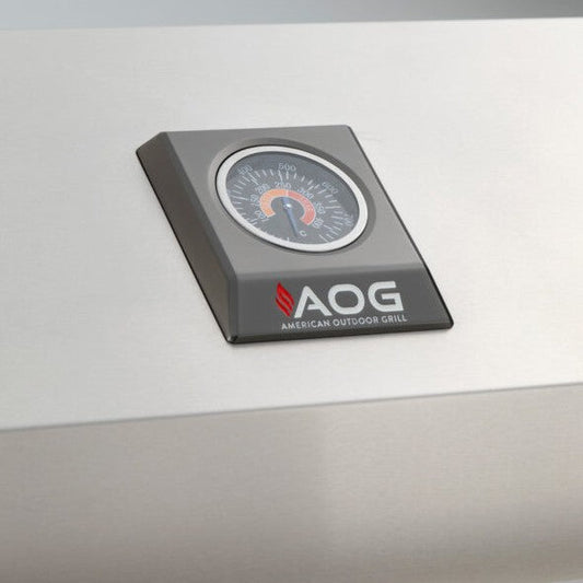AOG 30" T-Series Built-In Gas Grill - Natural Gas - AOG30TN