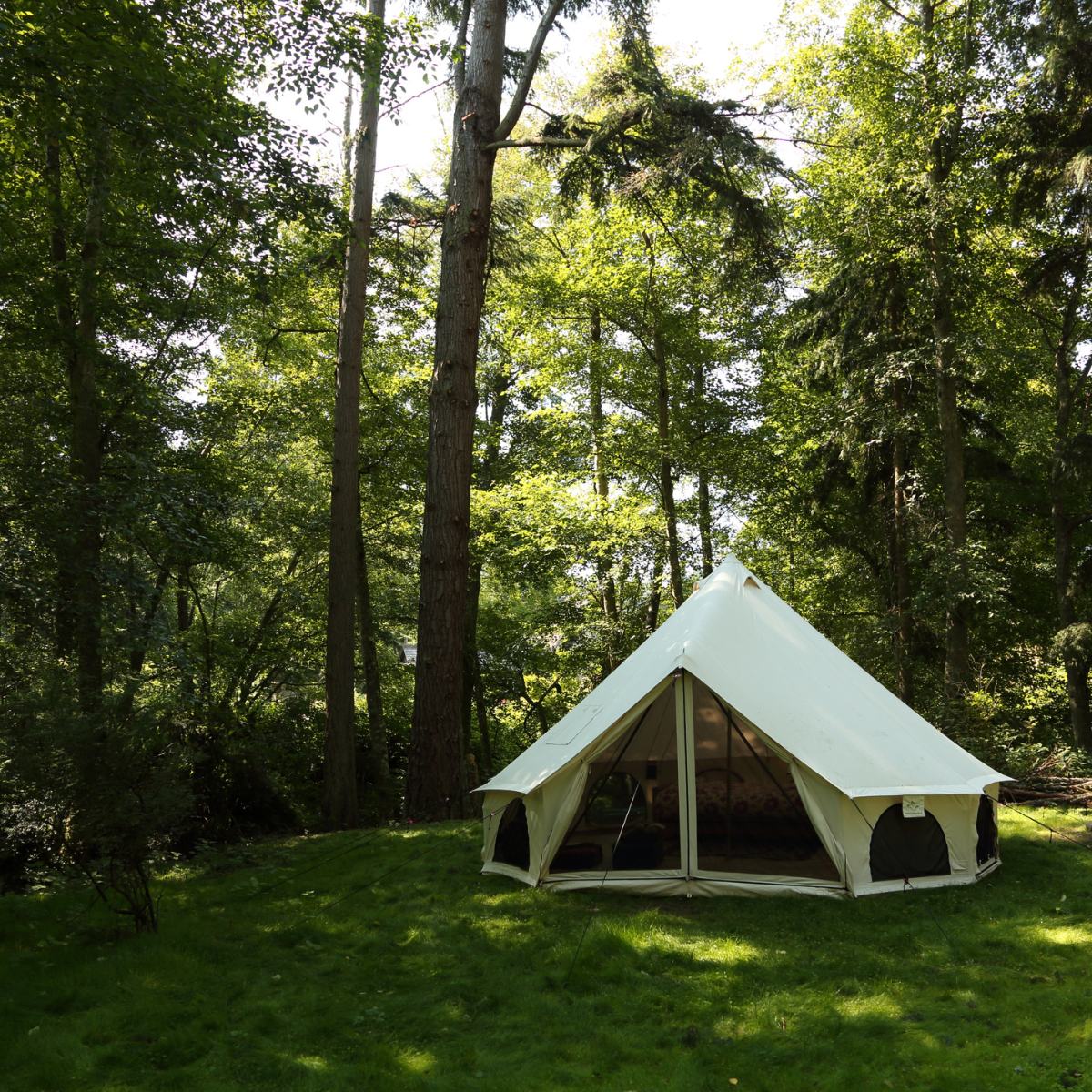 White Duck Outdoors 16.5' Avalon Bell Tent