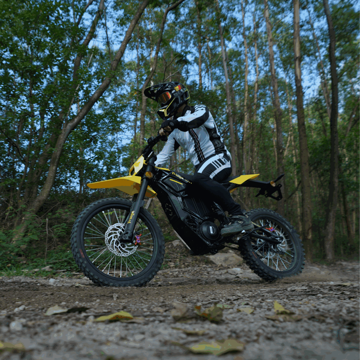 EVDirtBikes Freego Nova 5 Mid-Drive Off-Road Electric Dirt Bike