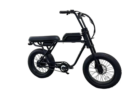 Coastal Cruiser Ripper - 48V 750W Moto Style Electric Bike