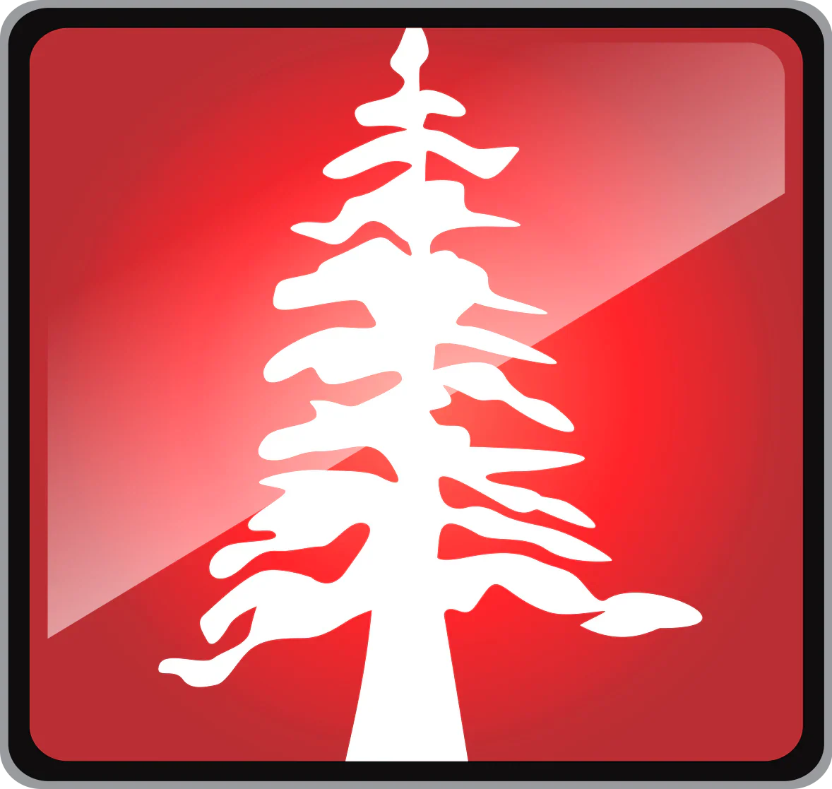 SHOP Best Redwood