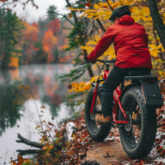 SHOP Electric Bikes