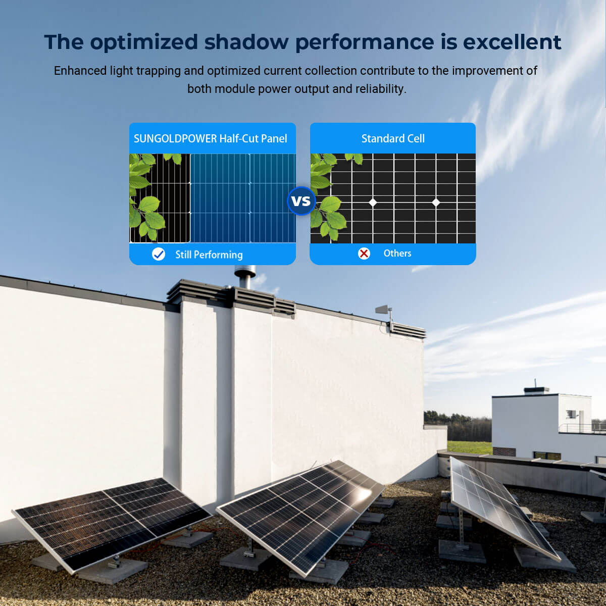 SunGoldPower 560W Bifacial PERC Solar Panel  | SGP-560-SBD UL61730 Certified by ETL
