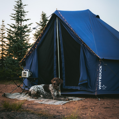 Blue tent with a dog sitting in front, surrounded by trees