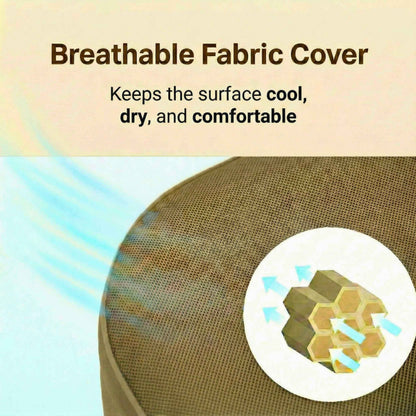 Coody Air Mattress Green Queen (197×150×35 cm) – Premium Air Bed with Built-in Pump