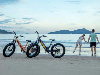 Velowave Rover Class 3 Step-Thru Electric Bike