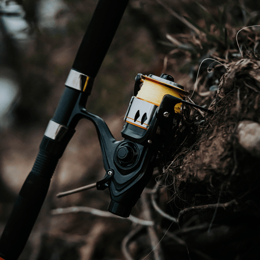 Catfish Pro 600STS Spinning Reel