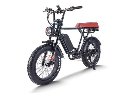 CEMOTO EB66 | 750W double battery Harley-Like Hi-Tech Ebike
