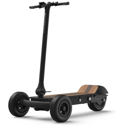 CycleBoard Rover