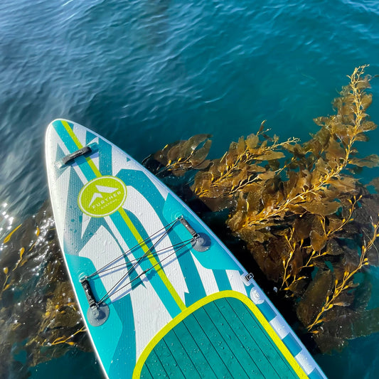 Further Customs 11'3 Podium Turquoise