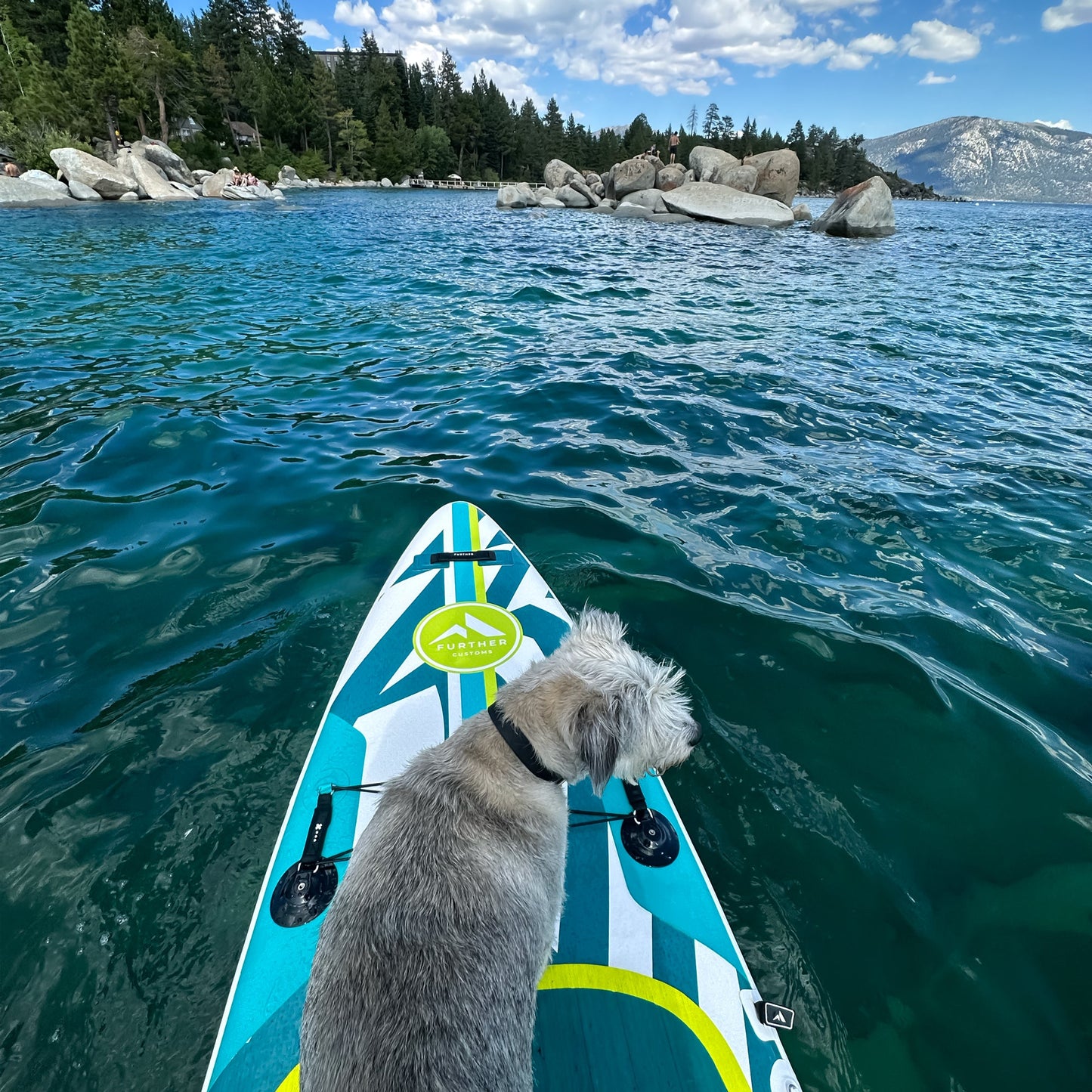 Further Customs 11'3 Podium Turquoise