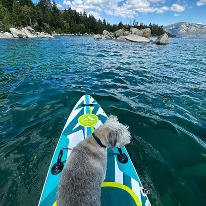 Further Customs 11'3 Podium Turquoise