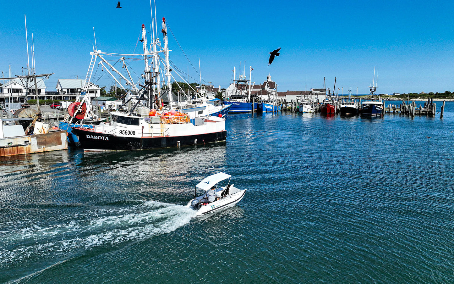 Further Customs Laguna Catamaran