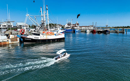 Further Customs Laguna Catamaran
