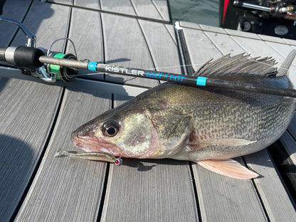 KISTLER Light n' Fast Fishing Rod