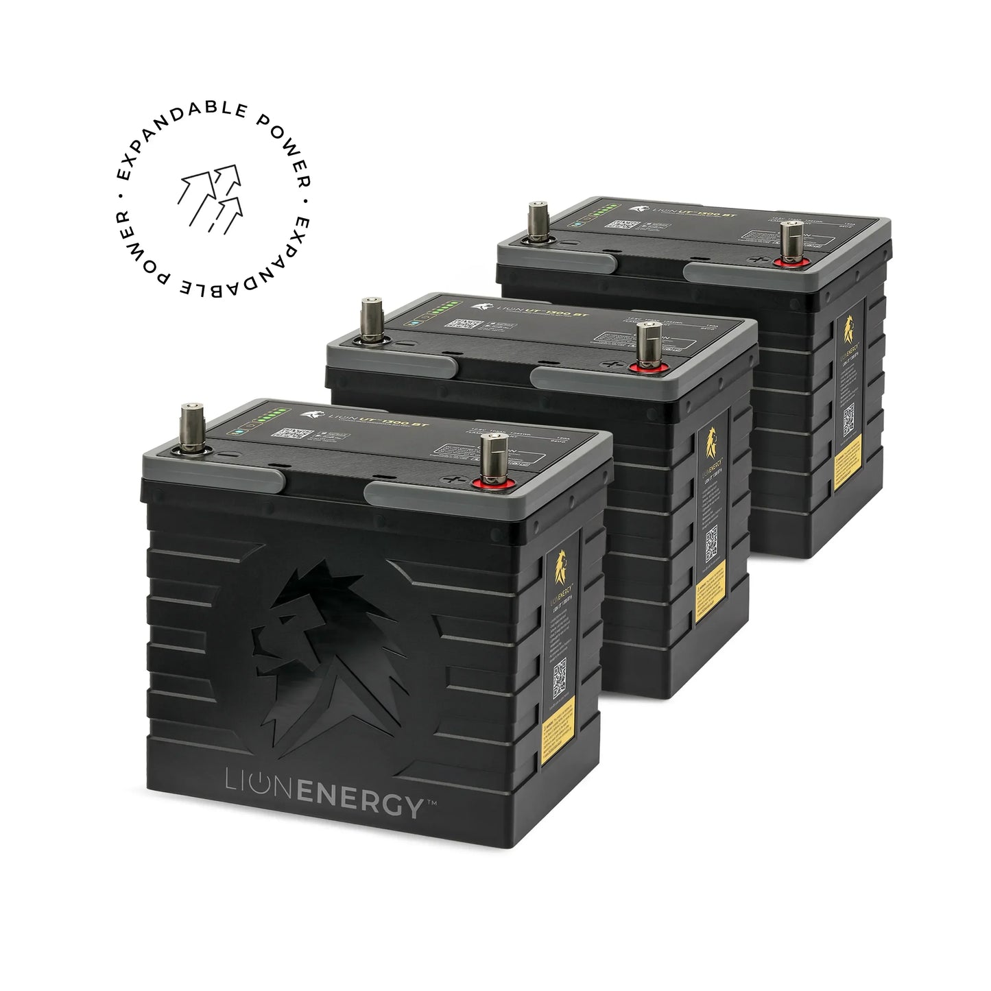 Lion Energy UT 1300 BT