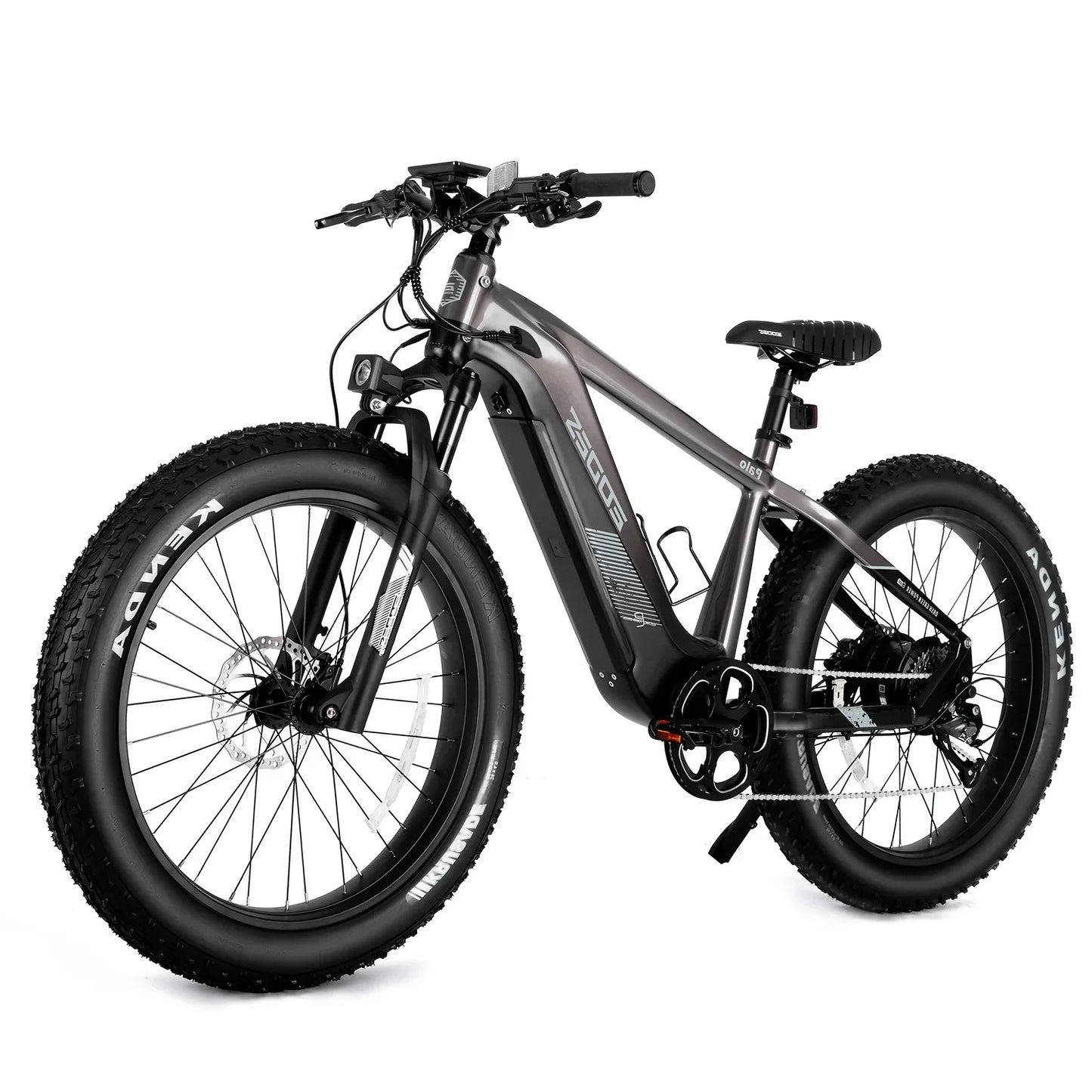 eBike Boys High-Quality eBike with 52V 750W Motor - 17AH Long Range