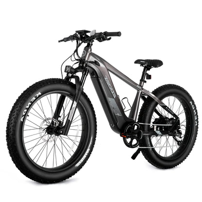 eBike Boys High-Quality eBike with 52V 750W Motor - 17AH Long Range