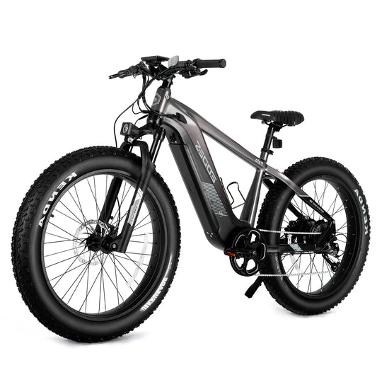 eBike Boys High-Quality eBike with 52V 750W Motor - 17AH Long Range