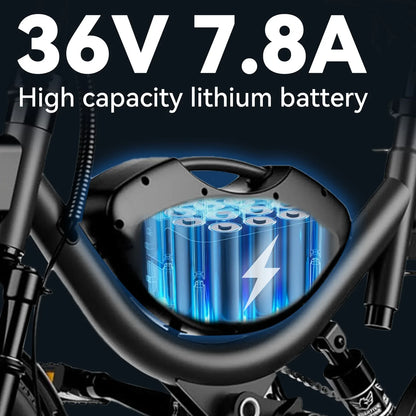 eBike Boys Terrosor 715W Peak Folding Electric Bicycle - Max Speed 50km/h