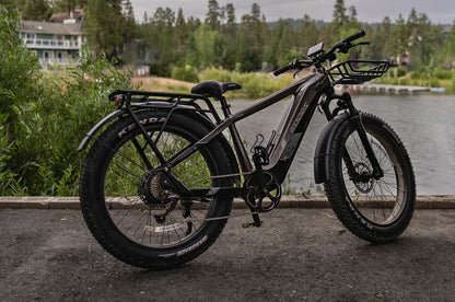 eBike Boys High-Quality eBike with 52V 750W Motor - 17AH Long Range