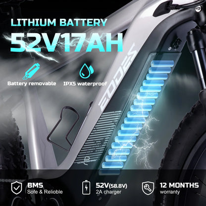 eBike Boys High-Quality eBike with 52V 750W Motor - 17AH Long Range