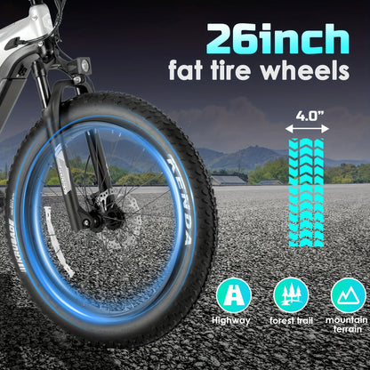 eBike Boys High-Quality eBike with 52V 750W Motor - 17AH Long Range