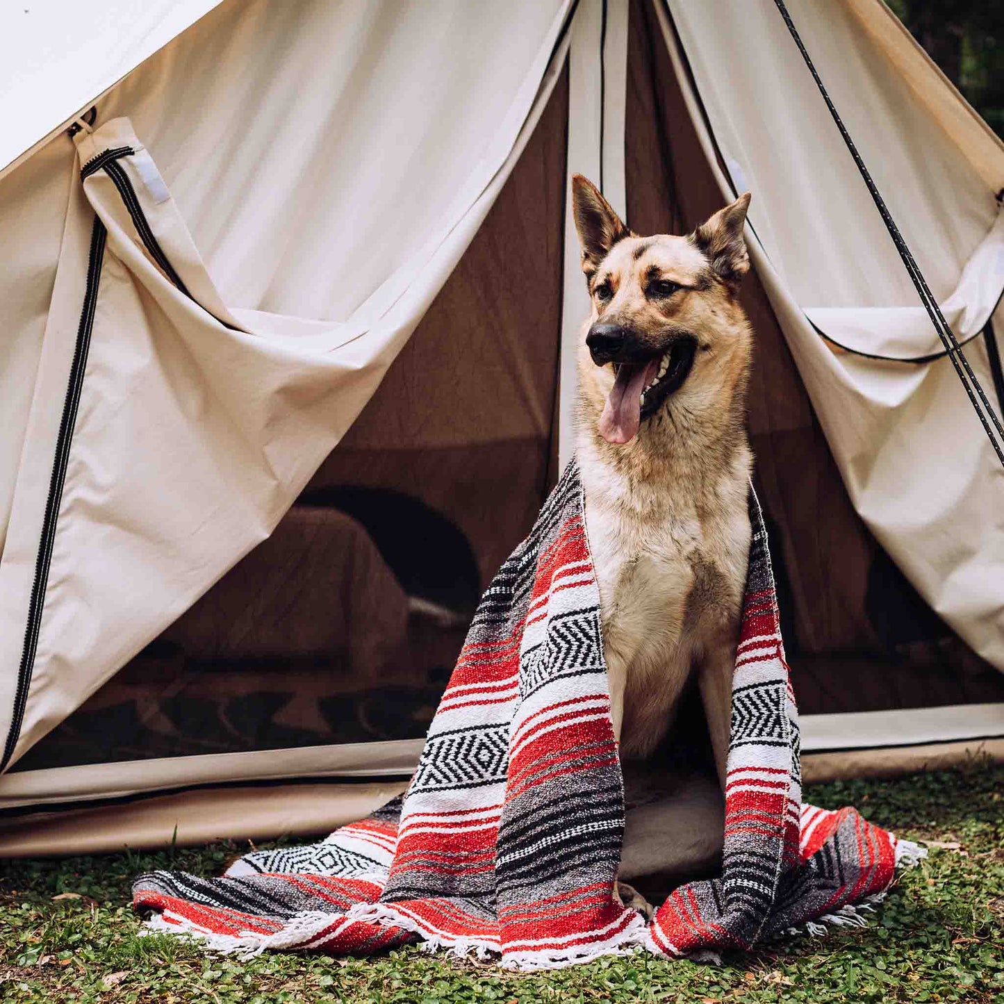 Whiteduck 13' Avalon Bell Tent