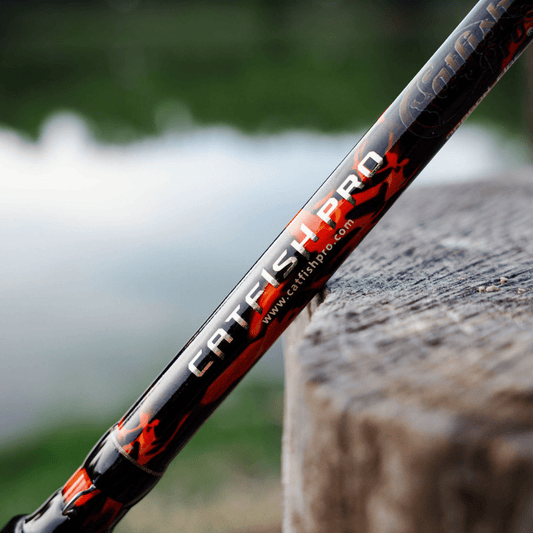 Catfish Pro Black Dragon Fire Casting Rod