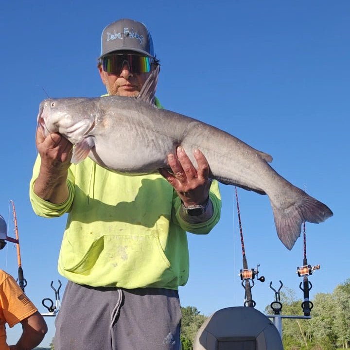 Catfish Pro Black Dragon Fire Casting Rod