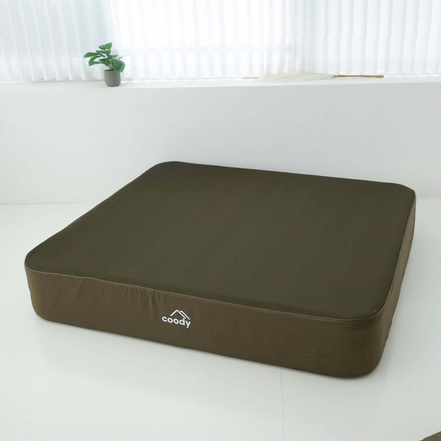 Coody Air Mattress