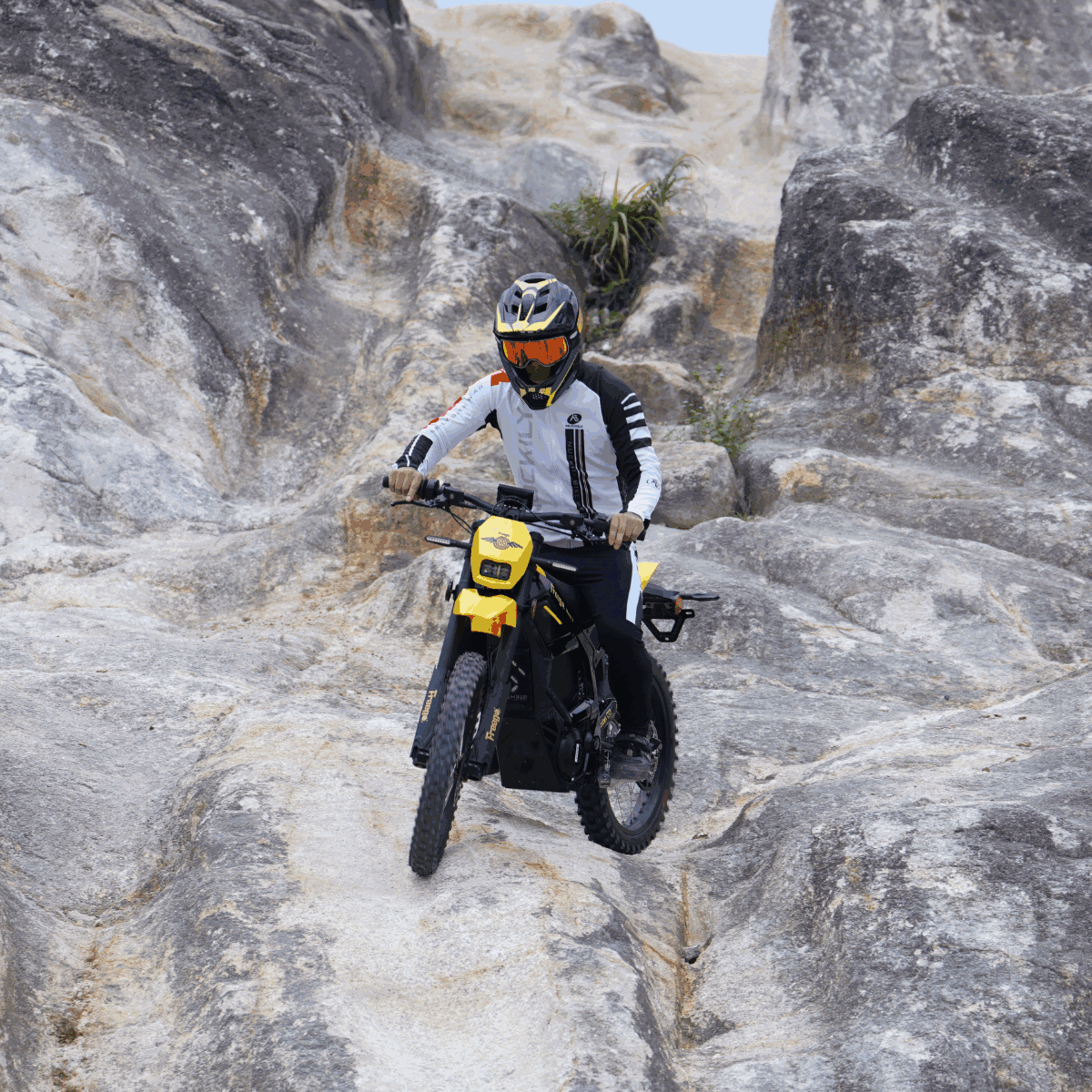 EVDirtBikes Freego Nova 5 Mid-Drive Off-Road Electric Dirt Bike