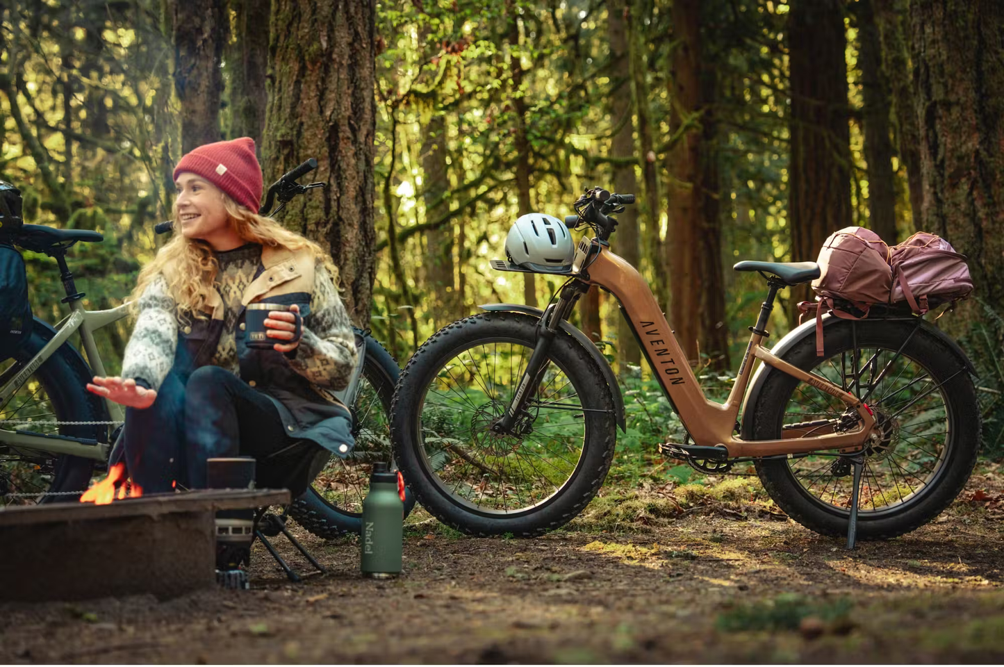 Aventon Aventure.3 E-Bike Step-Through