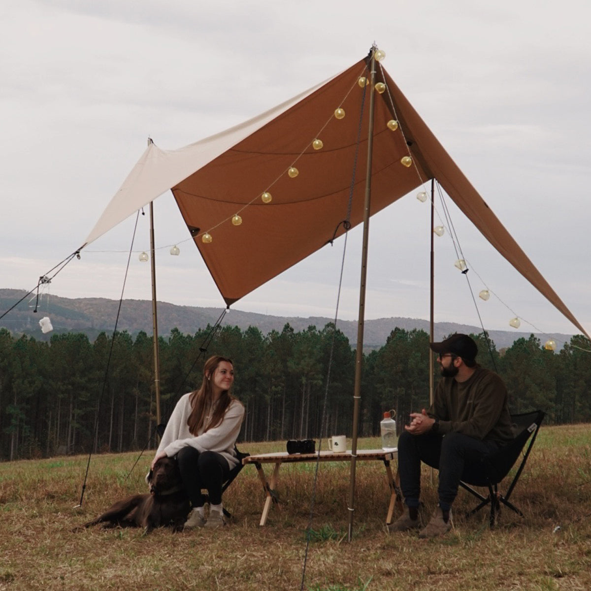 Sunshade Tarp 170