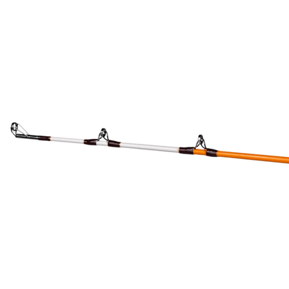 Catfish Pro Tournament Series Spinning Rod