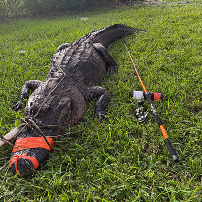 Catfish Pro Tournament Series Spinning Rod