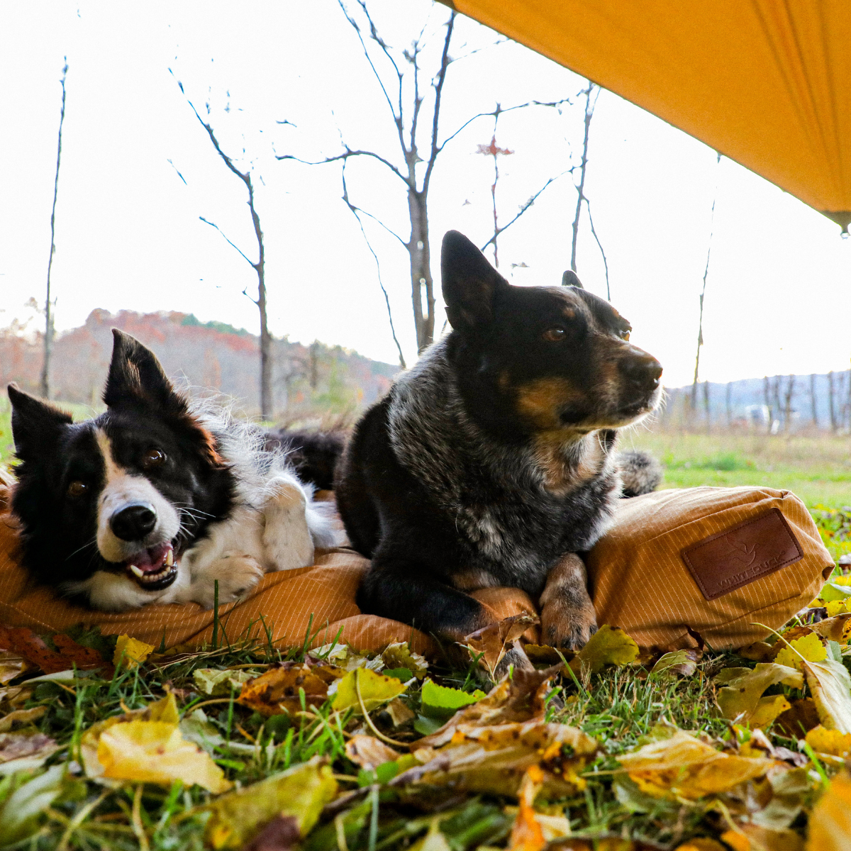Sunshade Tarp
